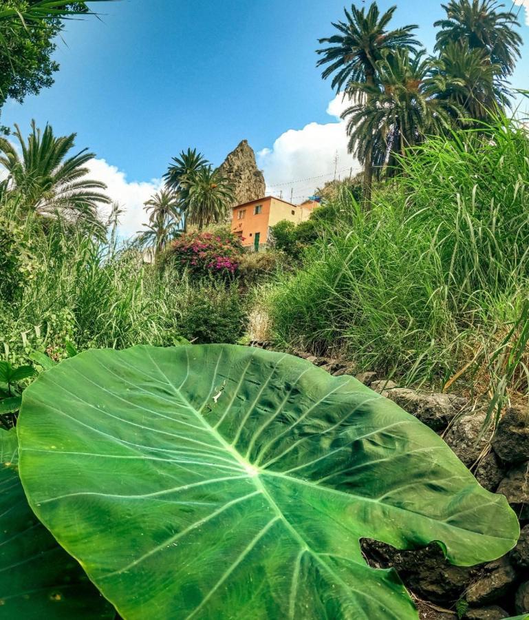 Casa Buganvilla Hermigua Buitenkant foto
